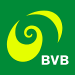 BVB